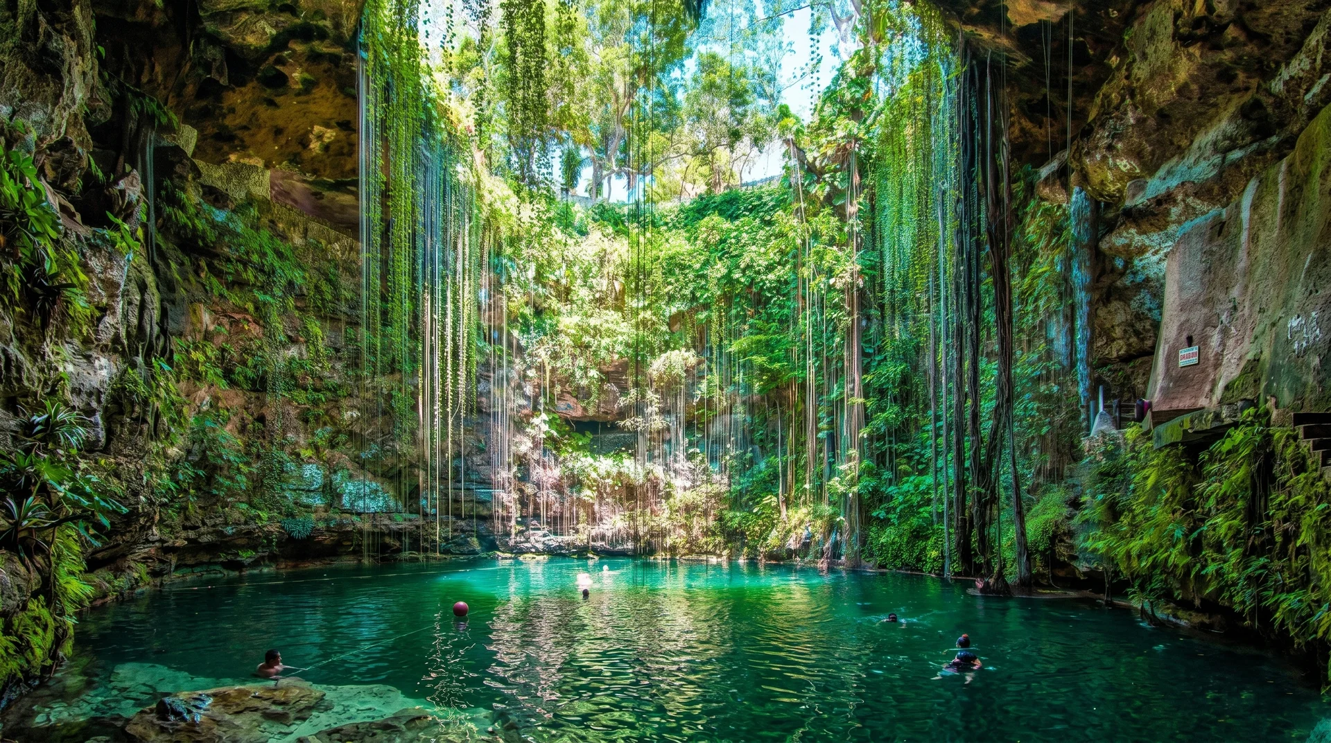 신비로운 빛이 스며드는 숨겨진 세노테(Cenote)