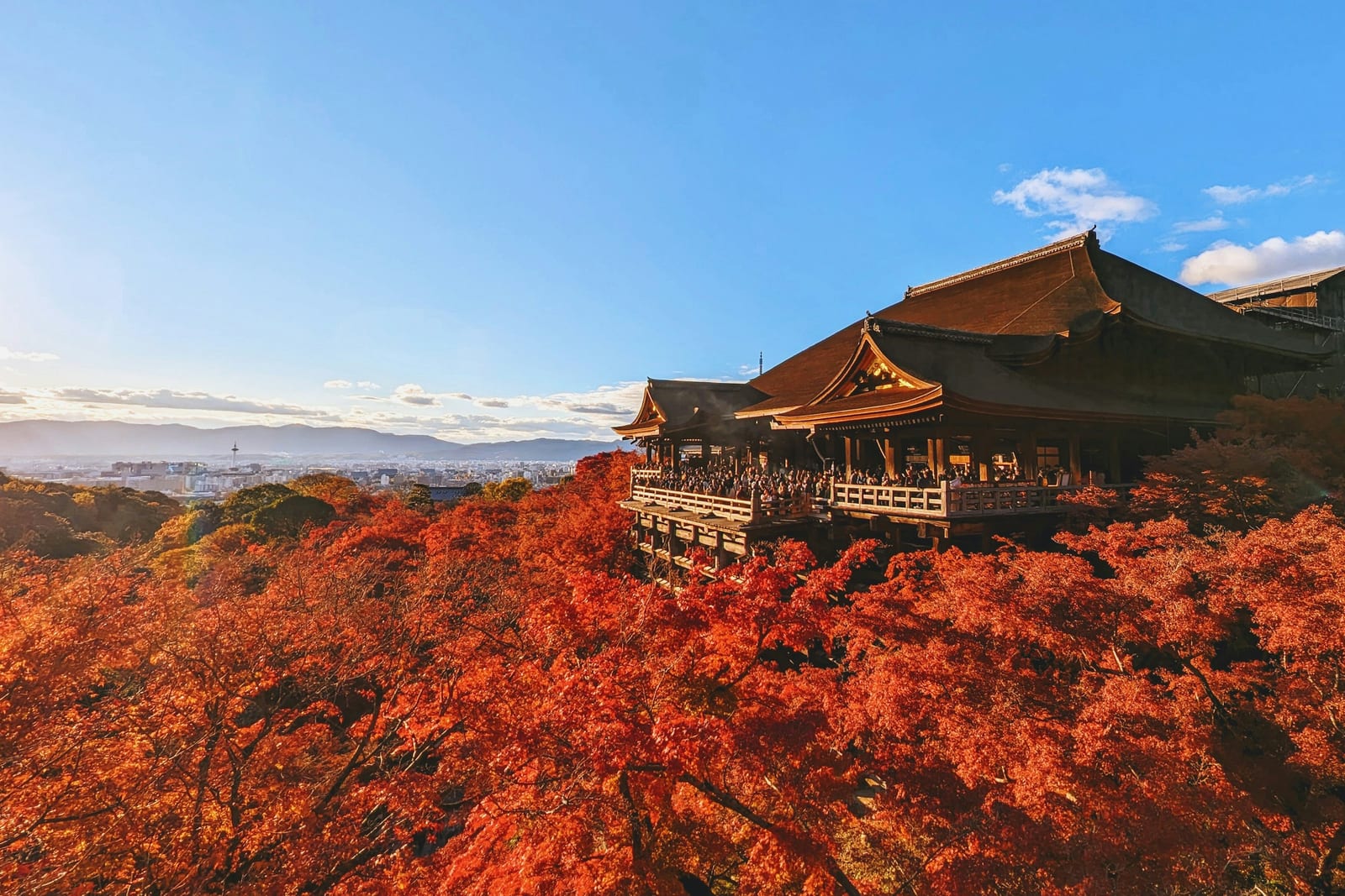 가을 단풍 여행지 TOP 5 — 캐나다·일본·미국·독일·체코 나라별 절정 시기와 명소